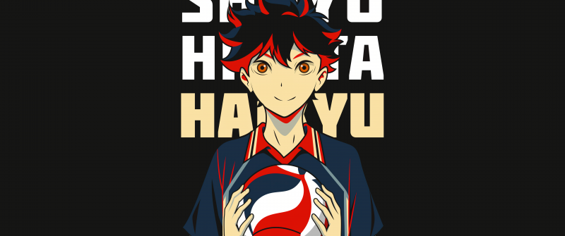 Shoyo Hinata, Volleyball, 8K, Pop Art, Haikyuu, Dark background, 5K