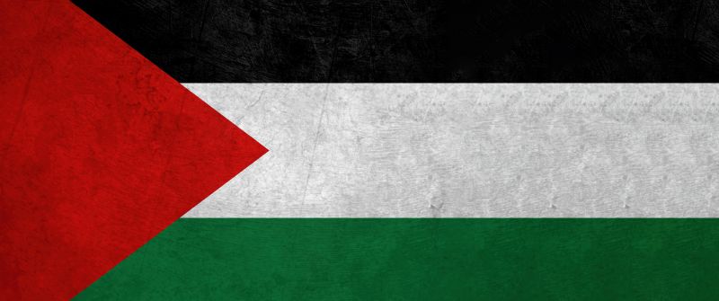 Flag of Palestine, 5K