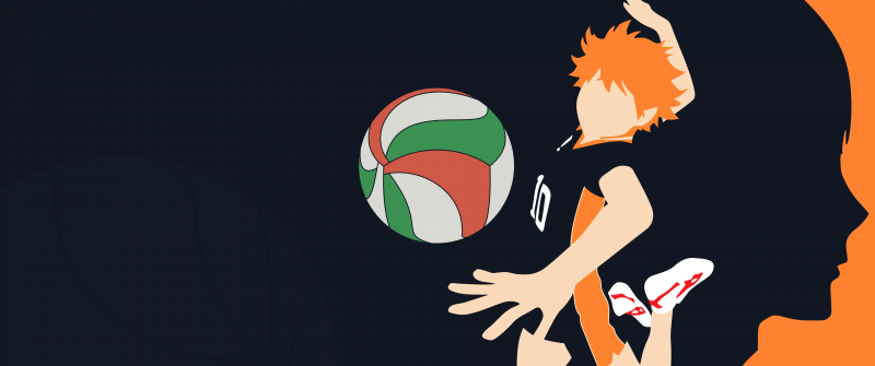 Shoyo Hinata, Minimalist, Haikyuu, Faceless, Volleyball