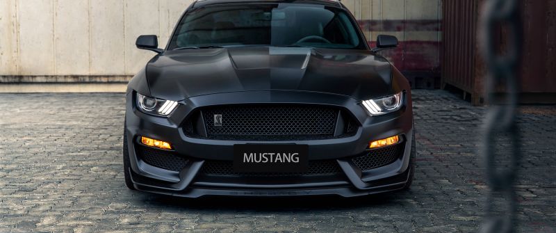 Ford Mustang Shelby GT350, Black