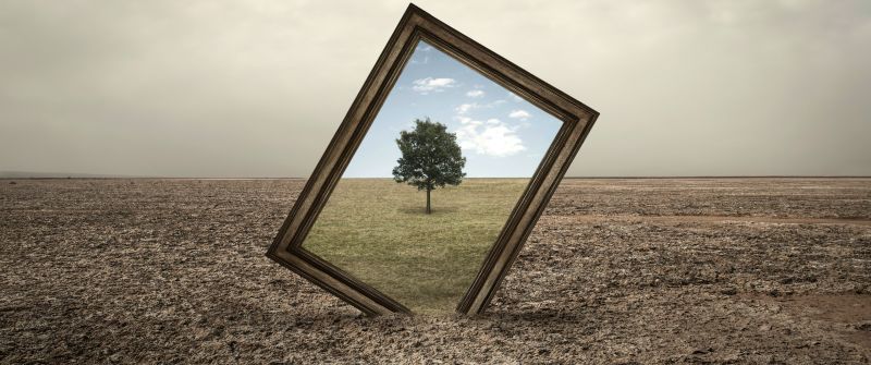 Frame, Landscape, Surreal, Bingkai, Lone tree