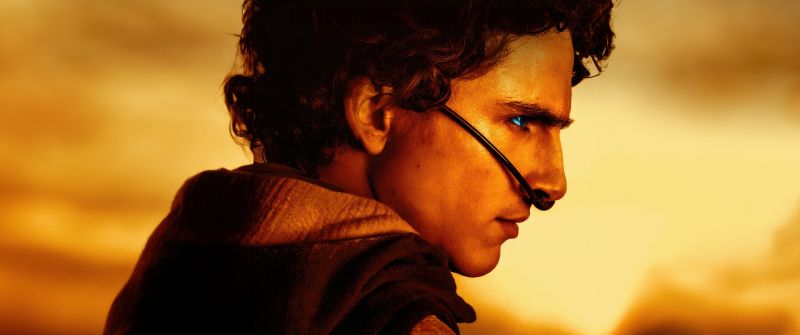 Timothée Chalamet as Paul Atreides, Dune 2, 5K, 2024 Movies, Dune: Part Two
