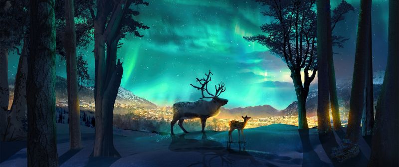 Illuminated, Aurora Borealis, Reindeer, Aurora sky, Cold night, Forest, Surreal
