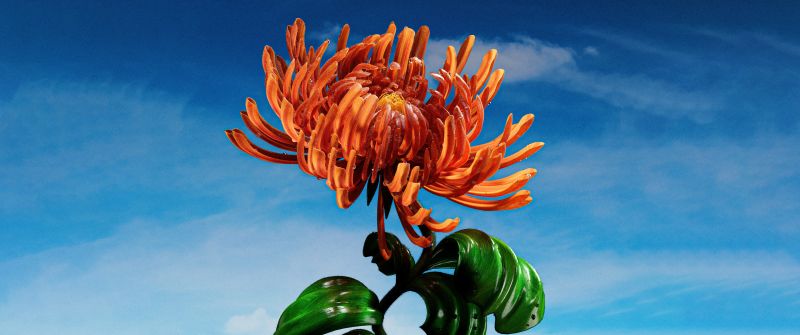 Orange flower, Blue Sky, 5K, Digital flower