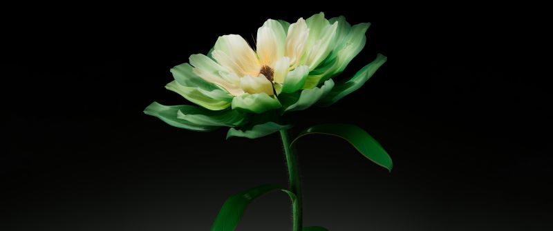 Green flower, Dark background, AI art, 5K, 8K, Digital flower