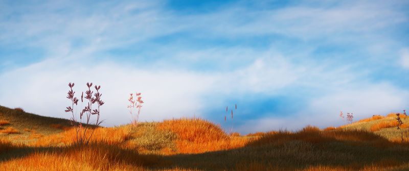 Grass field, Serene, Landscape, Blue Sky, 5K, Clouds