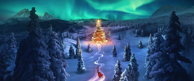 Christmas tree, Aurora sky, Snowy Trees, Aesthetic Christmas, Santa Claus chariot, Photorealistic, Winter Road