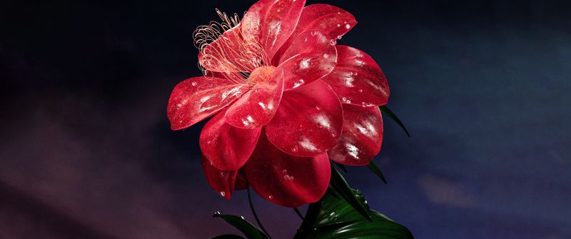 Red flower, Bloom, AI art, Elegant, 5K