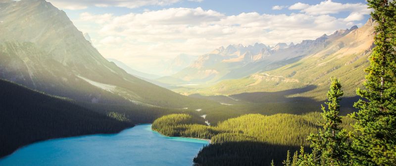 Banff National Park, Peyto Lake, Canadian Rockies, Mountains, Forest, Daylight, Sunny day, Summer, Canada, Aesthetic