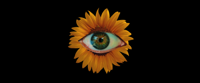 Sunflower, Weirdcore, Eye, Black background, 5K, AMOLED