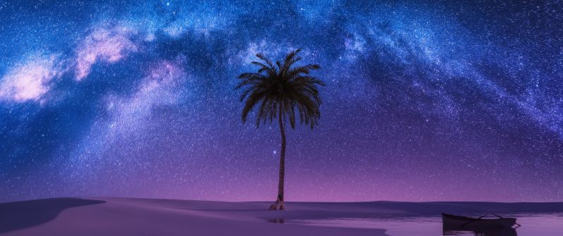 Milky Way, Nightscape, Palm tree, Surreal, Constellation, Stars in sky, Night time, Night sky, Boat, Woman