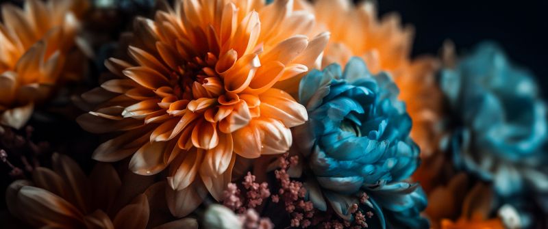 Chrysanthemum flowers, Digital Art, Digital flowers