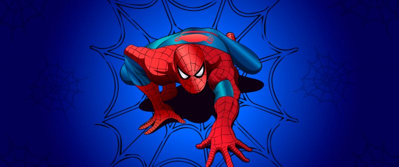 Spider-Man, Blue background, Marvel Superheroes, Spiderman