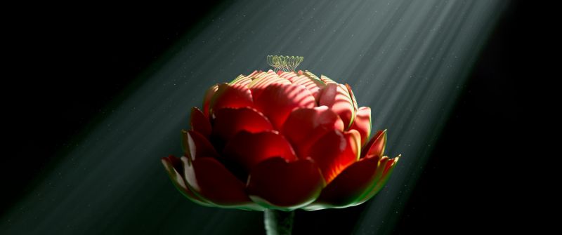 Red flower, Digital Art, Digital flower, Radiance, Dark background, Light beam, 5K, 8K, Surreal, Dark aesthetic