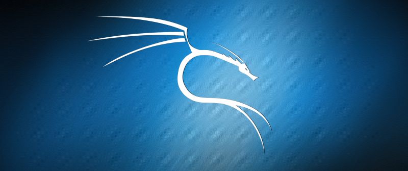 Kali Linux, Blue background