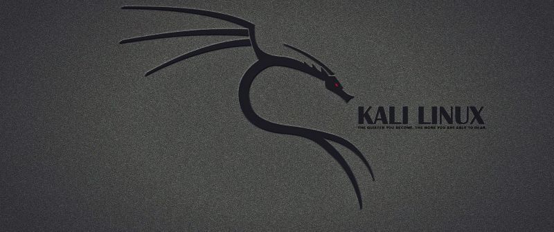 Kali Linux, Dragon, Dark background