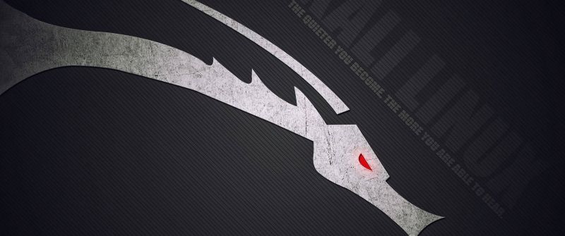 Kali Linux, Dark background