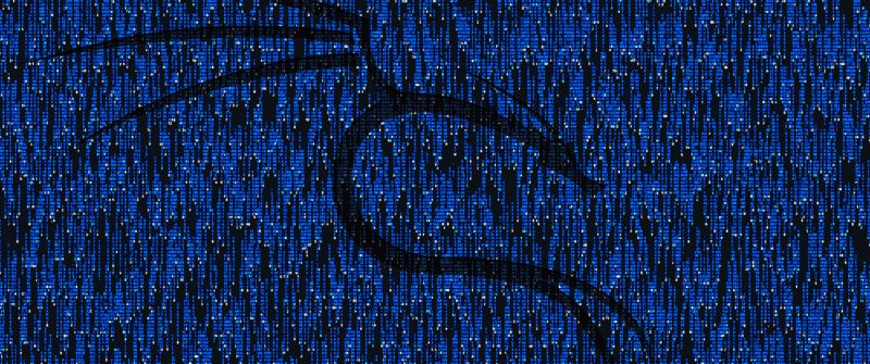 Kali Linux, Matrix falling code, Blue background