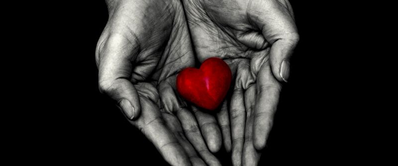 Red heart, Holding hands, 5K, 8K, Love heart, Black background, AMOLED