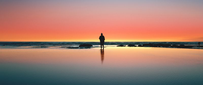 Horizon, Beach, Man, Alone, Sunset, Silhouette, Crescent Moon, Reflection, Kalaloch