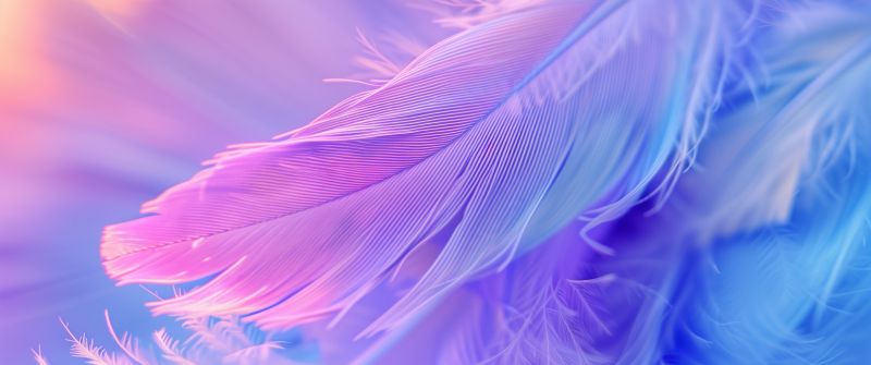 Aesthetic, Feathers, Colorful background, 5K