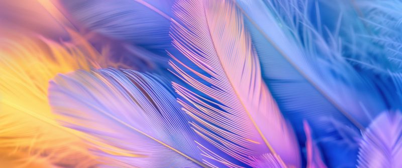 Feathers, Aesthetic, 5K, Colorful background