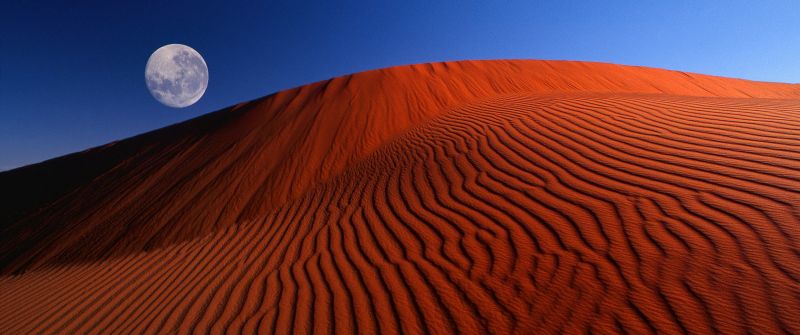 Full moon, Dunes, Windows XP, Desert