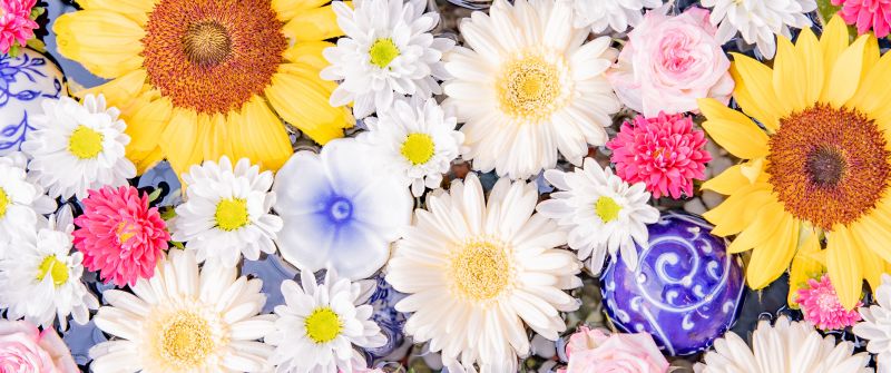 Colorful, Flower bouquet, Sunflower, Daisy flowers