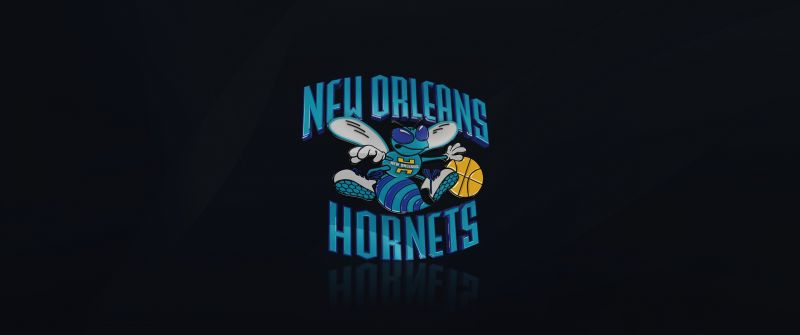 New Orleans Hornets, Basketball team, Logo, Dark background, 5K, NBA