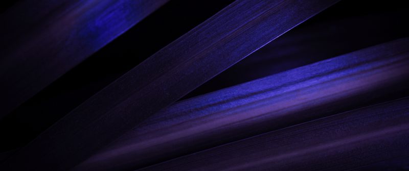 Purple aesthetic, Leaves, Pattern, Macro, Dark aesthetic, 5K, Purple leaves