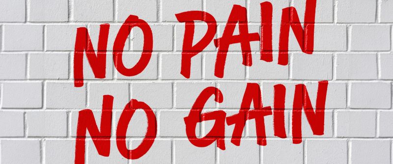 No pain No gain, Brick wall, White background, 5K, Motivational quotes, Typography