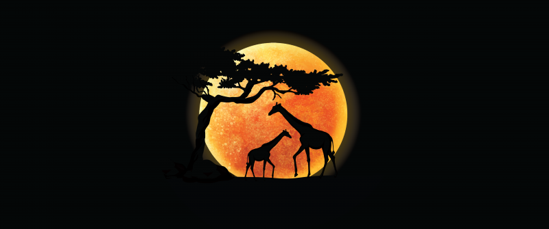 Giraffe, Silhouette, Sunset, AMOLED, Black background, Minimalist, 5K