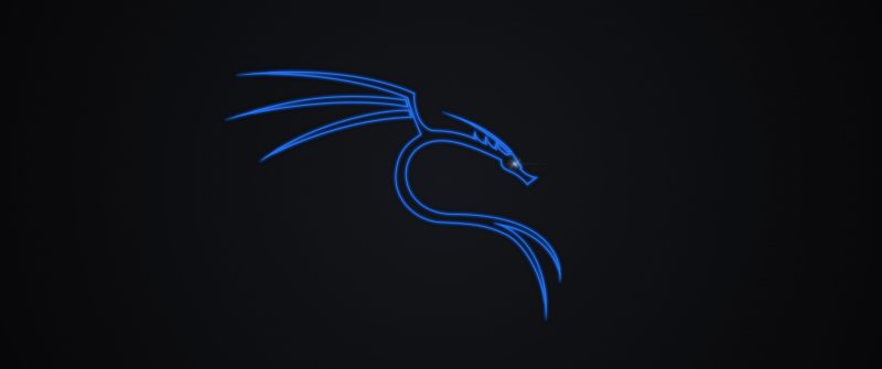 Kali Linux Logo, 4K wallpaper, Dark background