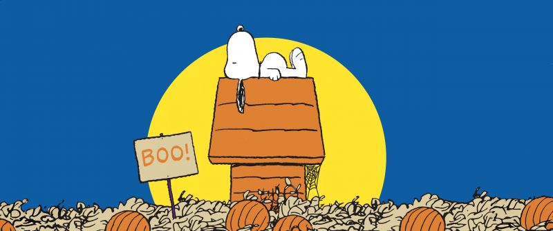 Snoopy Halloween, Pumpkins, Halloween pumpkins, Halloween background, 5K