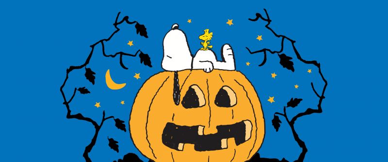 Snoopy, Halloween Pumpkin, Blue background, 5K, Sleeping, Peanuts