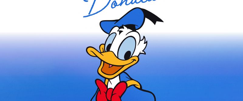 Donald Duck, Cartoon, Blue background, 5K