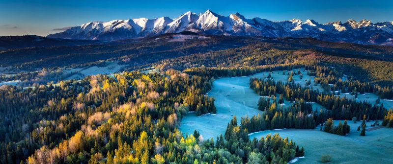 Poland, Landscape, Tatra Mountains, Mountain range, Green Forest, Pine trees, Morning light, Scenic, 5K