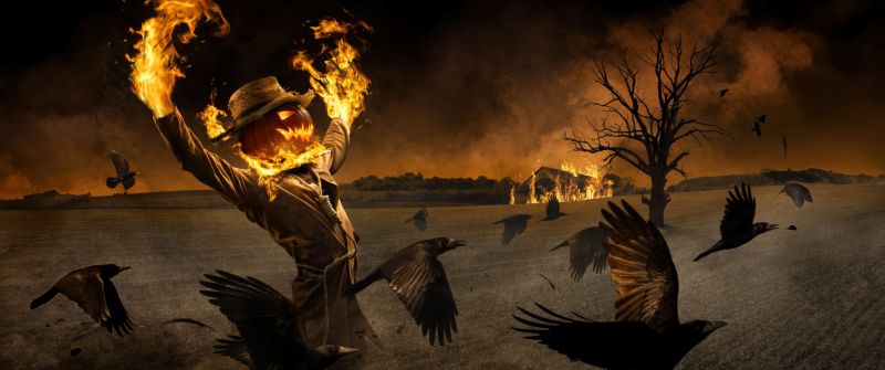 Scarecrow, Halloween night, Fire, Burning, Crows, Spooky, Scary, Gothic, Horror, 5K