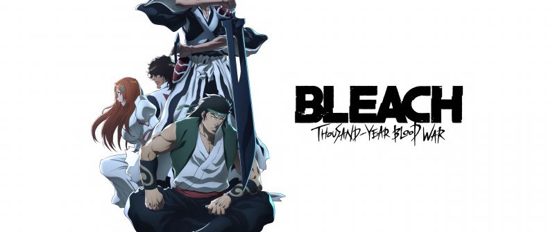 Bleach: Thousand-Year Blood War, Anime series, 5K, TV series, Ichigo Kurosaki, White background