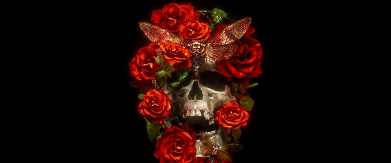 Skull, Roses, AMOLED, 5K, Black background, Darkness