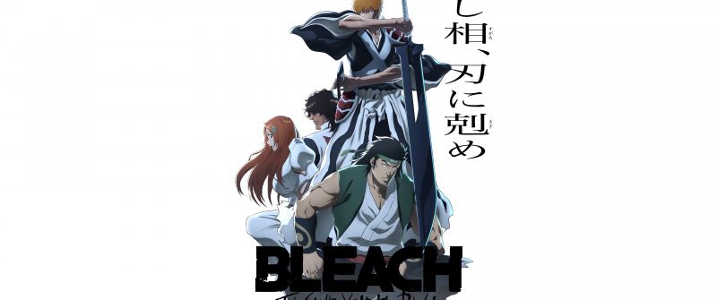 Bleach: Thousand-Year Blood War, 8K, Anime series, 5K, TV series, Ichigo Kurosaki, White background