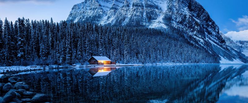 Lake Louise, Winter forest, Cold, Reflections, Pine trees, Frozen, Snow covered, Banff National Park, Canada, Wilderness, 5K