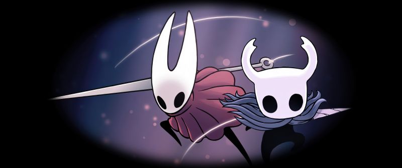 Hollow Knight, Video game wallpaper