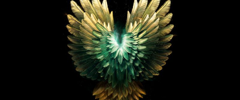 Angelic, Wings, Feathers, Black background, AMOLED, Luminescence, 5K