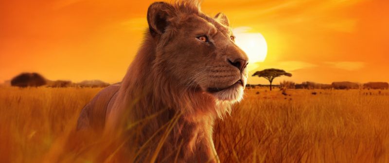 Mufasa, 5K, Mufasa: The Lion King, 2024 Movies