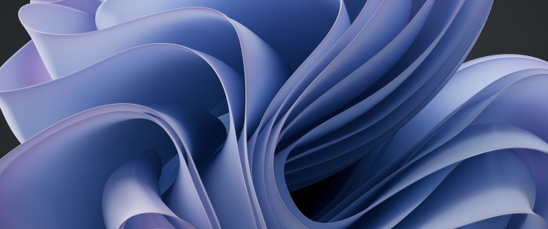 Windows 11, Blue purple abstract, Swirls, Curves, 5K, 8K, Stock