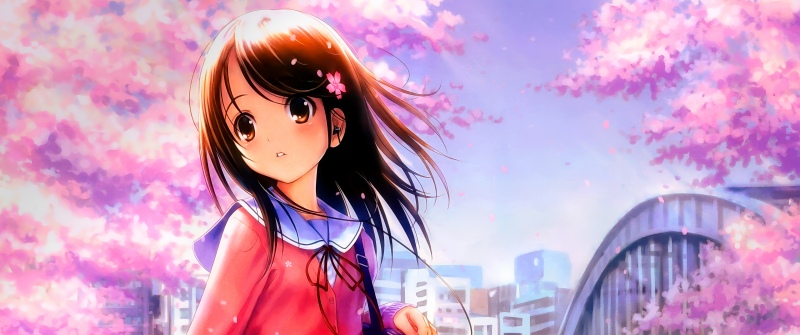 Pretty, Anime girl, Cherry blossom, Sakura, Spring