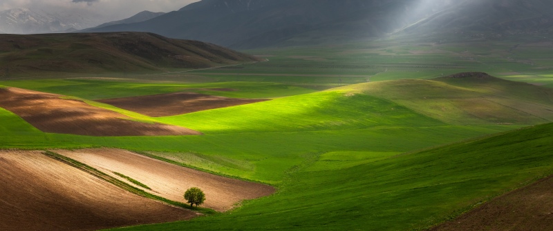 Sibillini National Park, Landscape, Lone tree, Green Fields, Dramatic, Sunbeam, Rolling hills, Stormy Clouds, Sunlight, Vibrant, Green Grass, Countryside, Mountains, Mood, Solitude, 5K, Italy