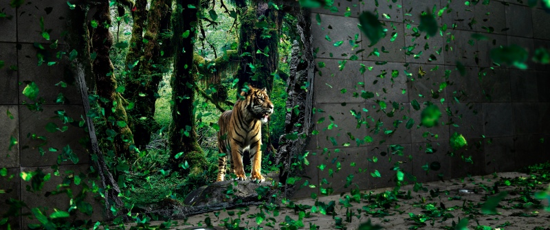 Tiger, Mystical Forest, Jungle, Surreal, Wildlife, Green leaves, Concrete, Portal, Dreamlike