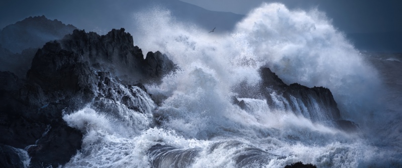 Stormy, Waves, Rocky coast, Dramatic, Seascape, Seabirds, Coastal, 5K, Dark